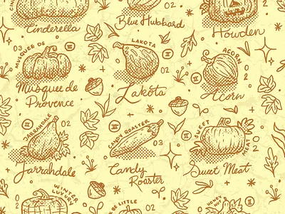 Pumpkins + Winter Squash acorn autumn fall farm farmer halloween hand drawn illustration jack o lantern leaves october pattern procreate pumpkin qourd sketch squash typography winter squash yellow