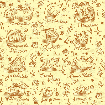 Pumpkins + Winter Squash acorn autumn fall farm farmer halloween hand drawn illustration jack o lantern leaves october pattern procreate pumpkin qourd sketch squash typography winter squash yellow