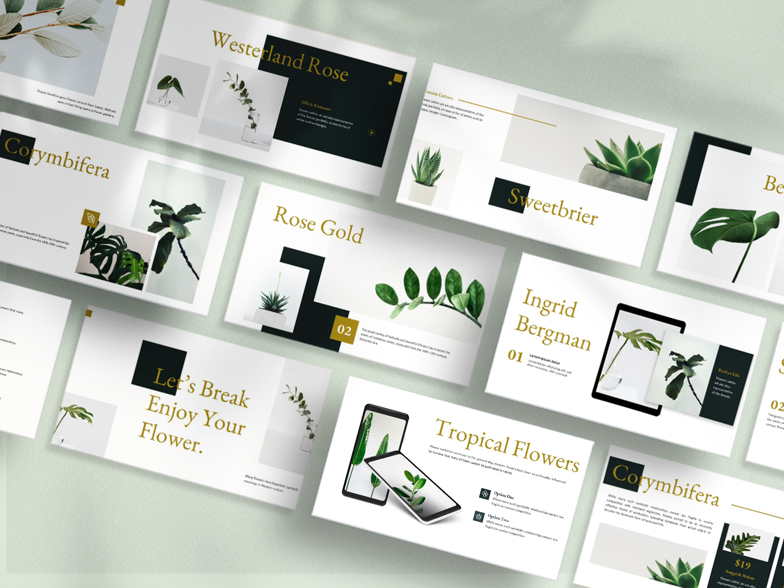 Example of Create Powerpoint Presentation Design