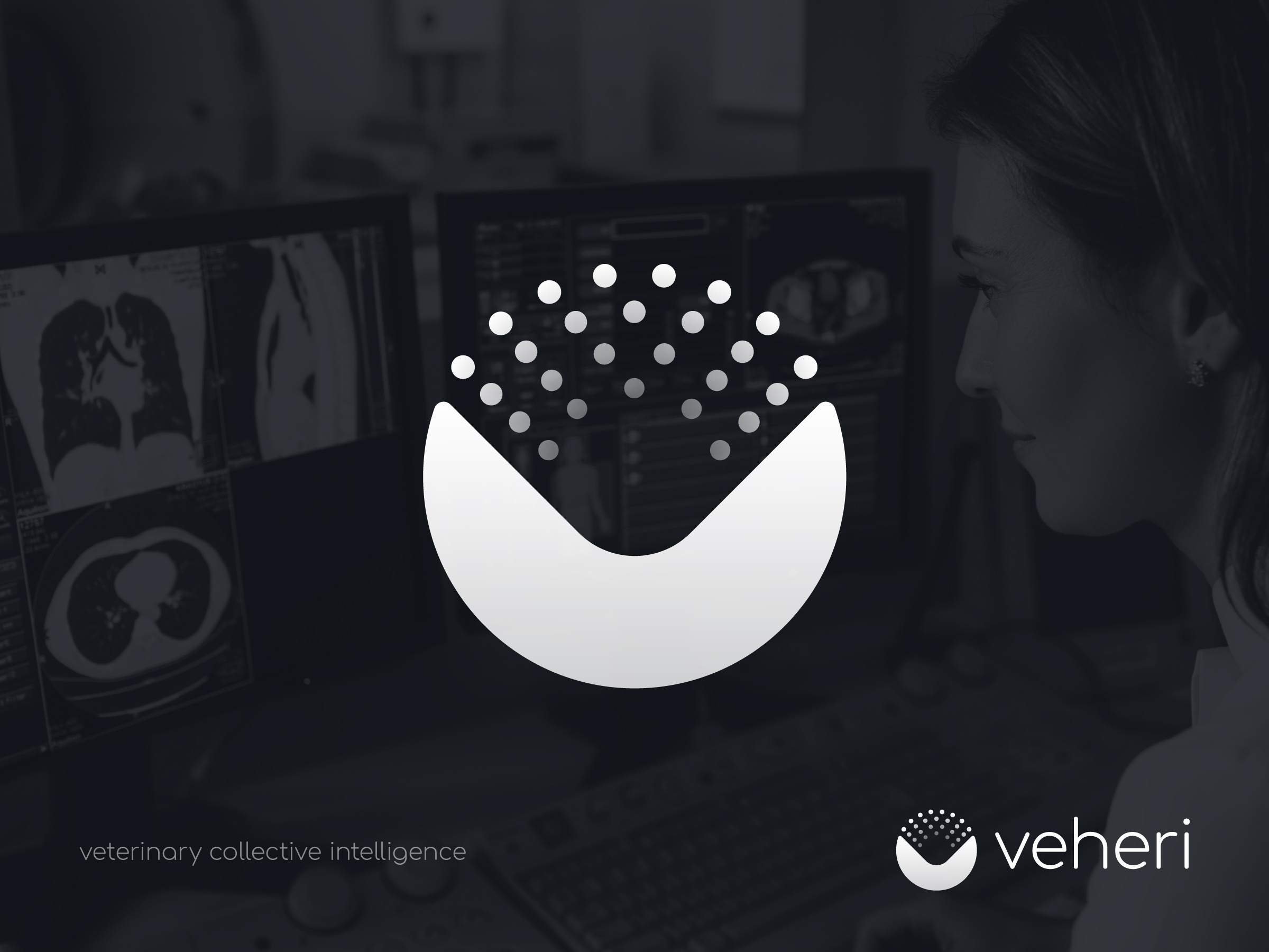Veheri – Logo Design
