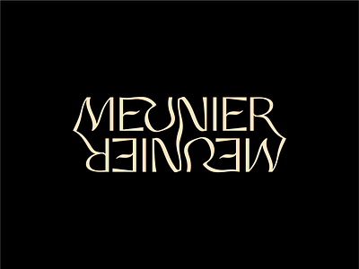 Mirrored branding identity logo typography