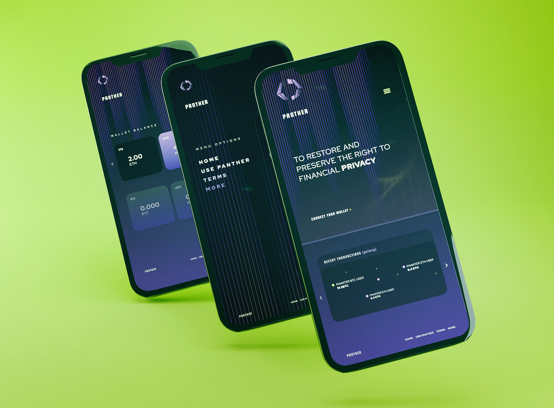 panther protocol 3d app branding design device graphic design layout logo prototype ui web3