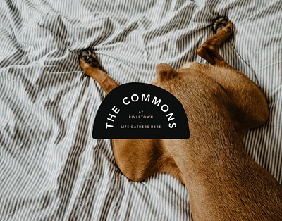 The Commons - Logo Concept brand design brand identity branding corporate design corporate identity design emblem graphic design icon logo logo design vector