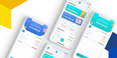 Payroll Wallet - Detail Preview app clean design ios money payroll responsive ui ux wallet