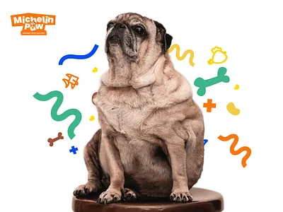 Michelin Paw Part 2 - Handmade Cooked Dog brand identity brand identity handmade dog food branding branding funny dog food pet fun funny graphic design happy logo logo design logo dog logo dog food logo food dog logo funny logo handmade dog food logo pet food