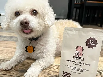 Animal pet dog coffee branding, pouch packaging design animal