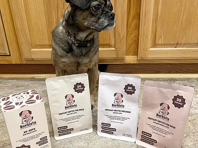 Fun cartoon mascot dog logo design, animal pet dog branding animal box