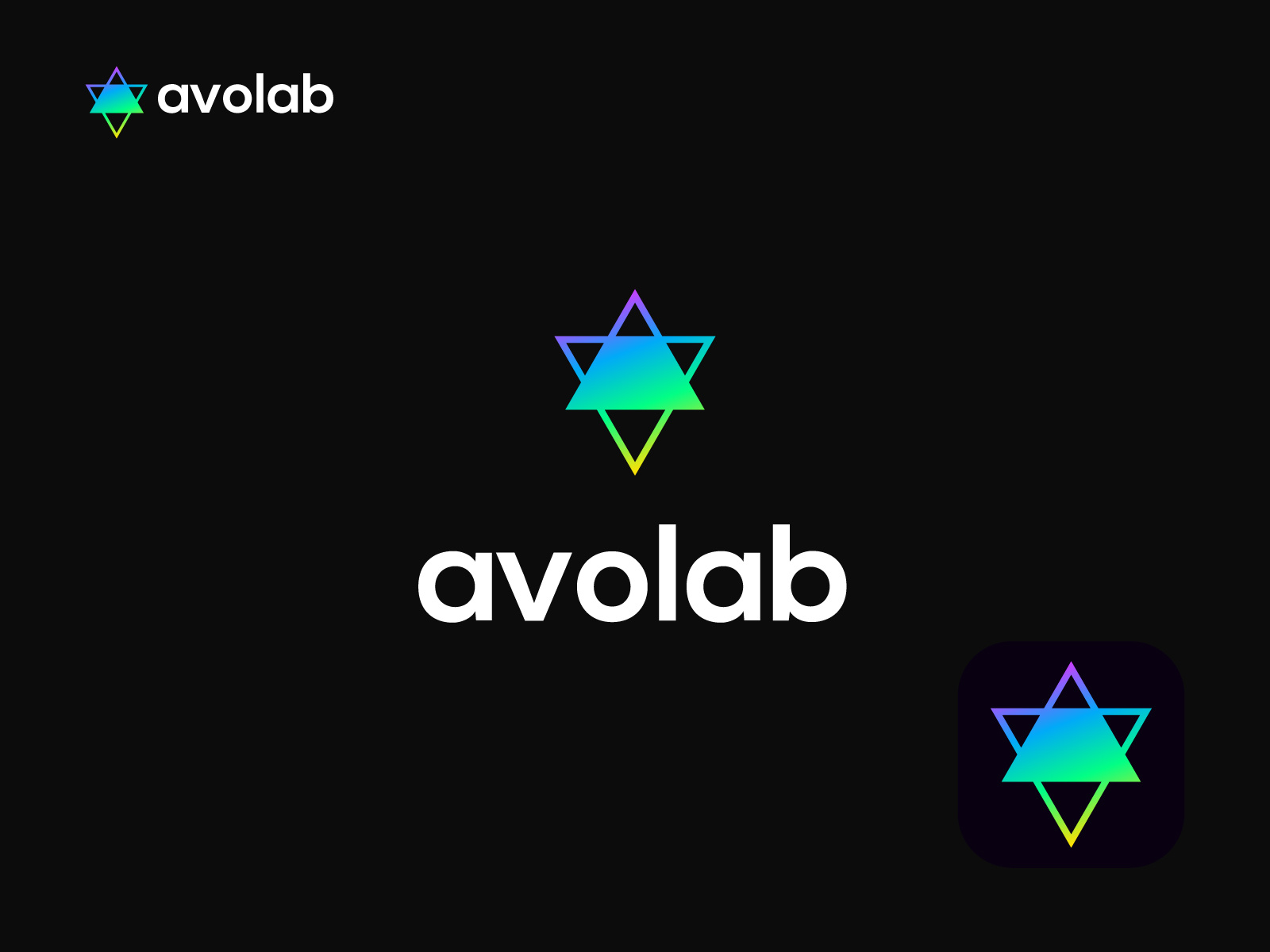 Example of Geometry And Natural Shape Logo Creation