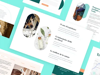 Laboratoire Ravene - Random pages cyan desktop horse ui ux website