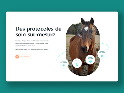 Laboratoire Ravene - Protocoles desktop green horse ui ux website