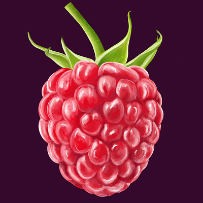 Raspberry design digital drawing drawing fruit illustration illustration procreate
