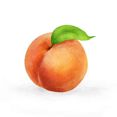Appricot design digital illustration drawing fruit illustration illustration procreate