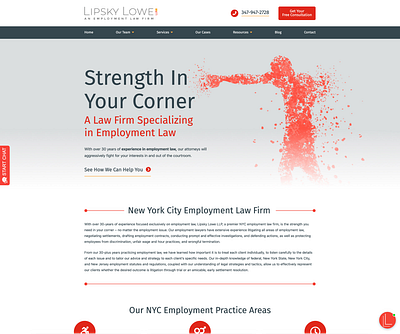 Lipsky Lowe LLP design ui