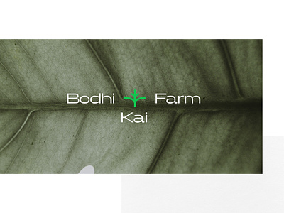 Bodhi Kai Farm authentic bodhi brand identity branding design farm kharkiv leaf logo logo designer minimal logo modern logo new york plant sprout startup typography ukraine visual identity