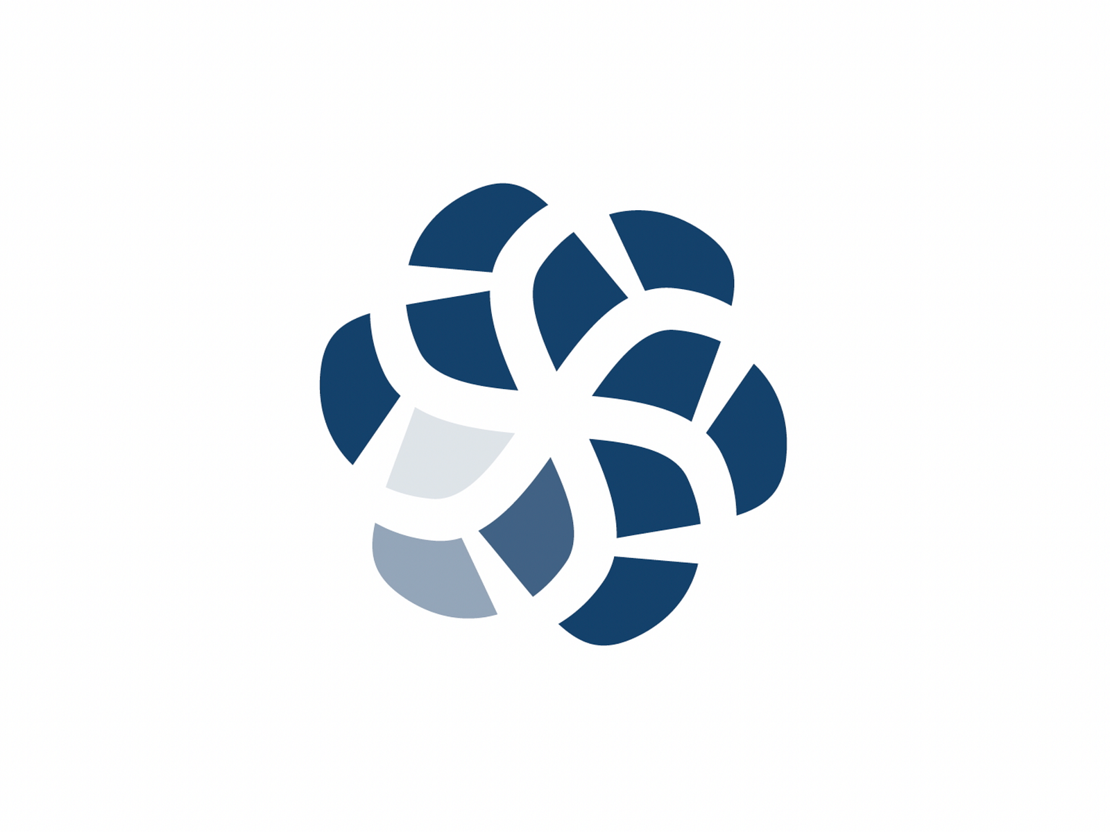 Savory Spice Logo Animation By Ampersand Creative Studio On Dribbble savory-spice-logo-animation-by-ampersand-creative-studio-on-dribbble
