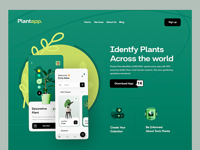 Plant Shop - Web Hero branding creative design illustration logo ui uidesign ux uxdesign webdesign