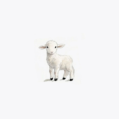 Baby sheep kid animal baby sheep kid design graphic design illustration logo