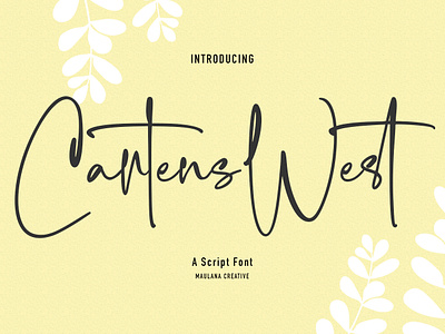 Cartens West Script Font calligraphy font lettering ligature modern poster script signature vintage webfont website