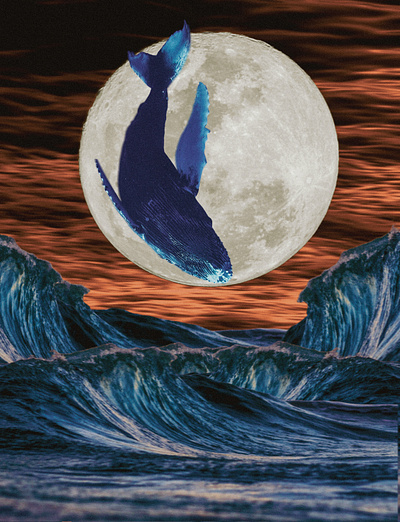 Under the whale moon collage design graphic design illustration illustrator procreate