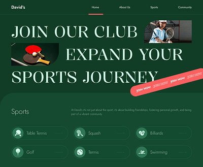 David Sports Club Website Design app desigjn branding figma flat ui graphic design illustration krunal soni landing page post design rutva technologies social media sports template theme uiux website website design