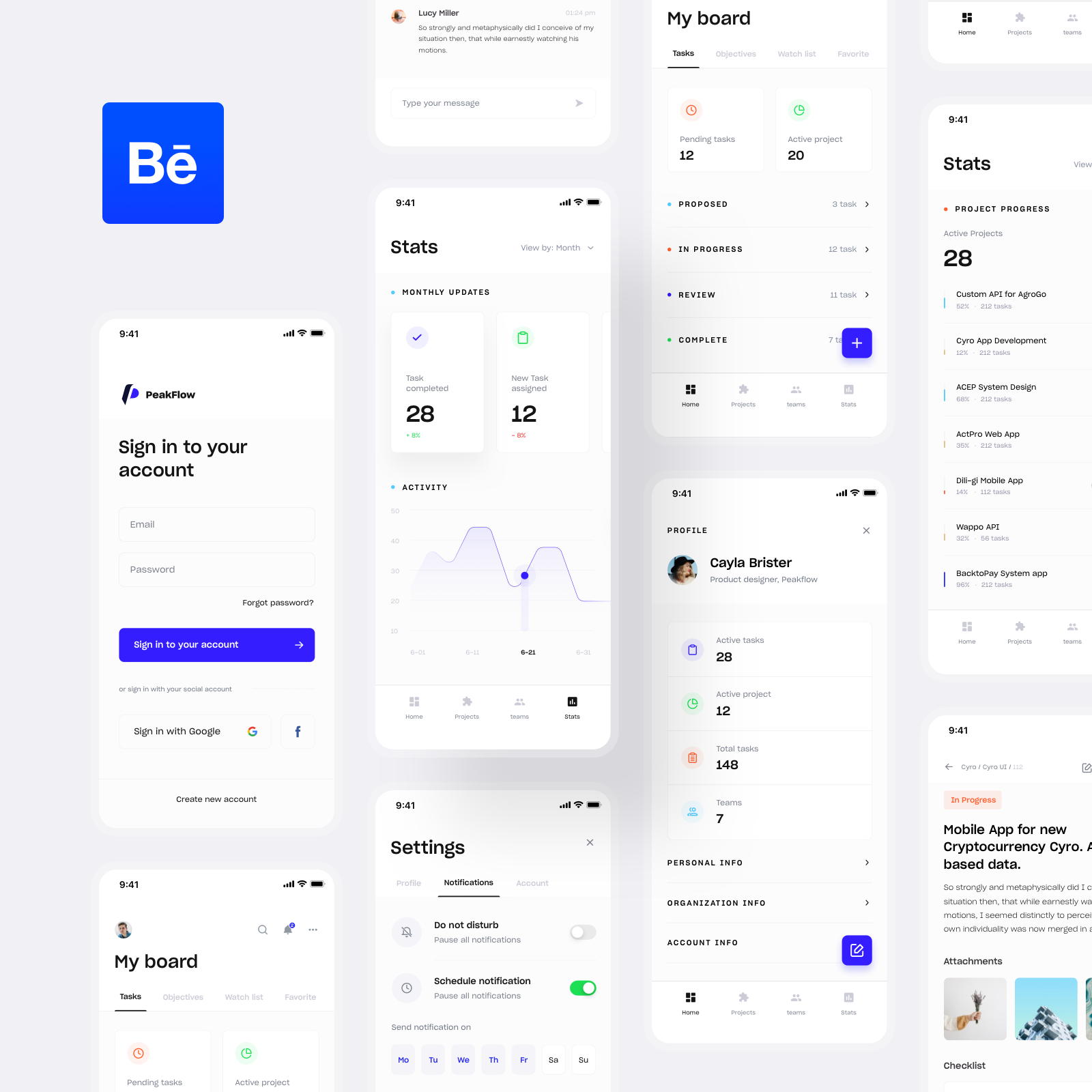 Example of Peakflow project management app