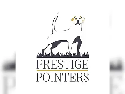 Vector Design cricut graphic design logo svg