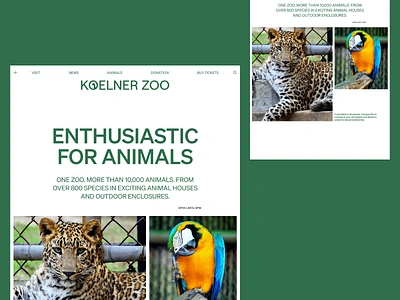 Koelner Zoo Landingpage Hero Header Redesign | Zoo animal animals clean design green hero header landing page light theme minimal nature typography ui ui design ux ux design web web design website wildlife zoo