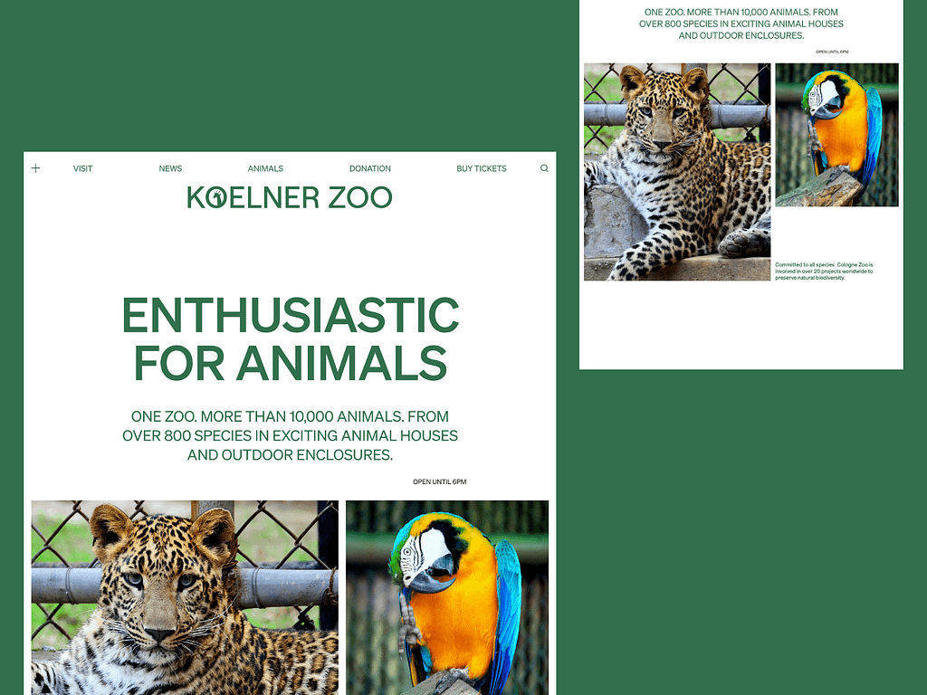 Koelner Zoo Landingpage Hero Header Redesign | Zoo by Eduard Bodak on ...