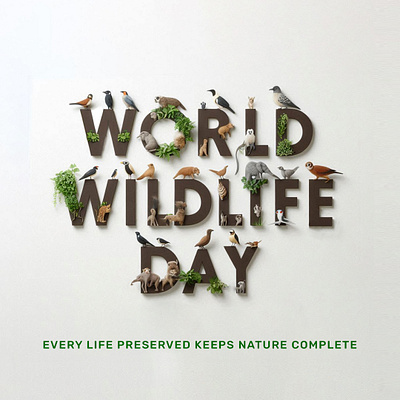 world wildlife day branding graphic design