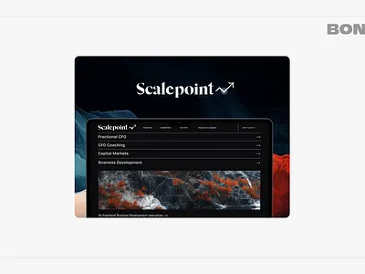 Scalepoint Brand design🎨 bont branding design illustration logo mobile mobile design product design ui ux
