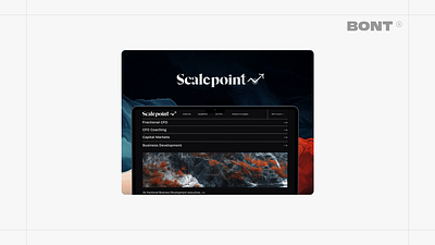 Scalepoint Brand design🎨 bont branding design illustration logo mobile mobile design product design ui ux