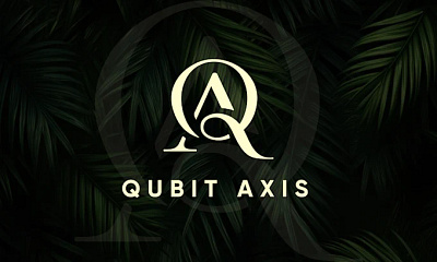 Qubit axis logo