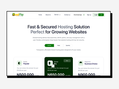 Jostpay Domain price Section domain hosting landing page ui ux