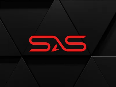 Brand Identity for a high-end auto sales and detailing business auto auto logo brand identity branding brutal logo business logo car detailing car logo graphic desifner graphic design logo logo design minimalistic minimalistic logo modern logo s logo spectrum spectrum logo