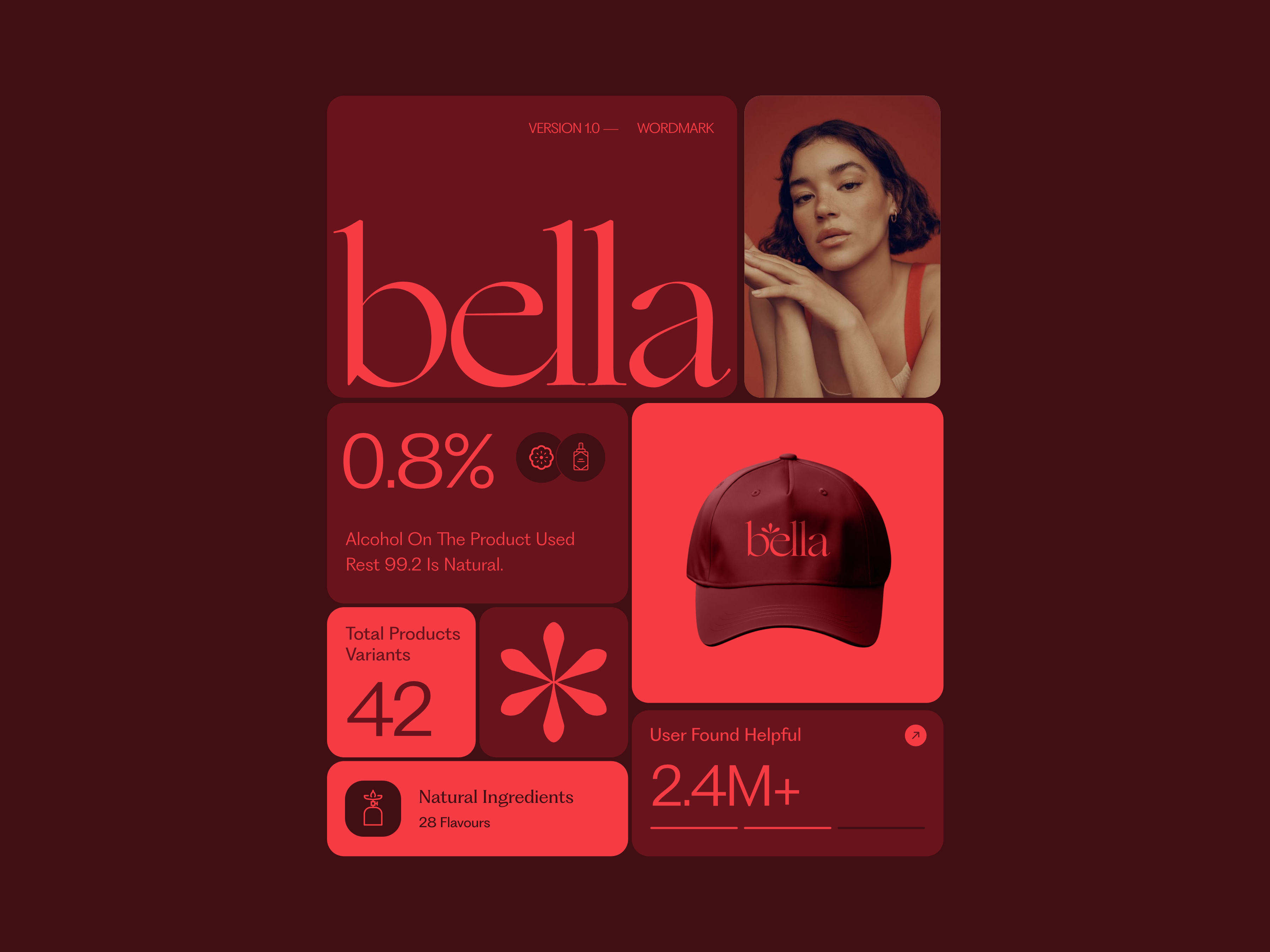 Example of Basic   Logo Design & Brand Guide