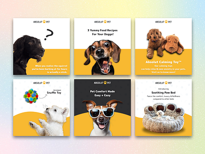 Pet Brand Social Media Creatives petlovers