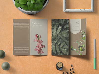 Brochure design brochure design graphic design indesign