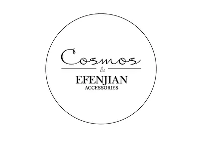 Логотип "Cosmos" и "Efenjian" design graphic design logo typography vector