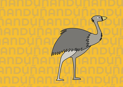 Fauna autóctona 1 design graphic design illustration