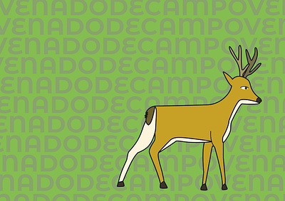 Fauna autóctona 6 design graphic design illustration