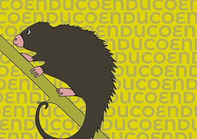 Fauna autóctona 4 design graphic design illustration