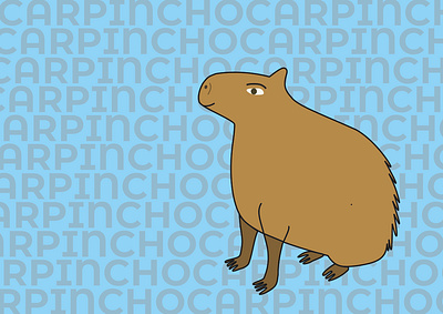 Fauna autóctona 3 design graphic design illustration