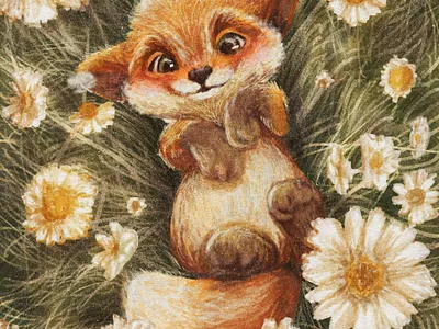 Lil’ foxy boy animation artist character design graphic design illustration