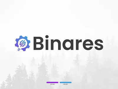 Binares Logo Design app branding design graphic design illustration logo typography ui ux vector