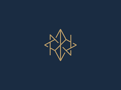 N + Star acronym blockchain branding business compass consulting east identity illustration letter logo minimal n north northstar simple south star web3 west