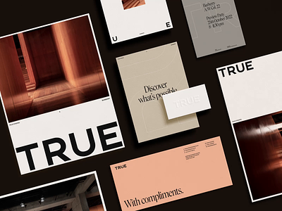 TRUE Brand Design branding graphic design logo print typography