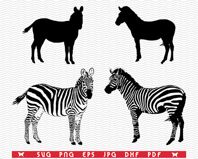 SVG Zebras, Black silhouettes, Digital clipart
