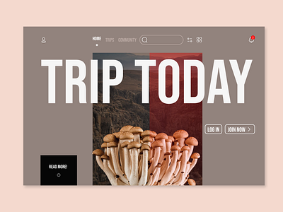 Trip today! branding design graphic design ui uidesign uiux userinterface ux