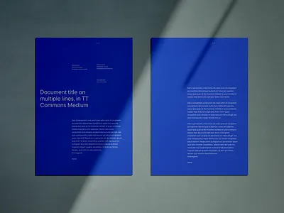 Document Design - Agency Brand brand branding document graphs minimal paper print purple survey