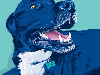 Finn dog illustration procreate